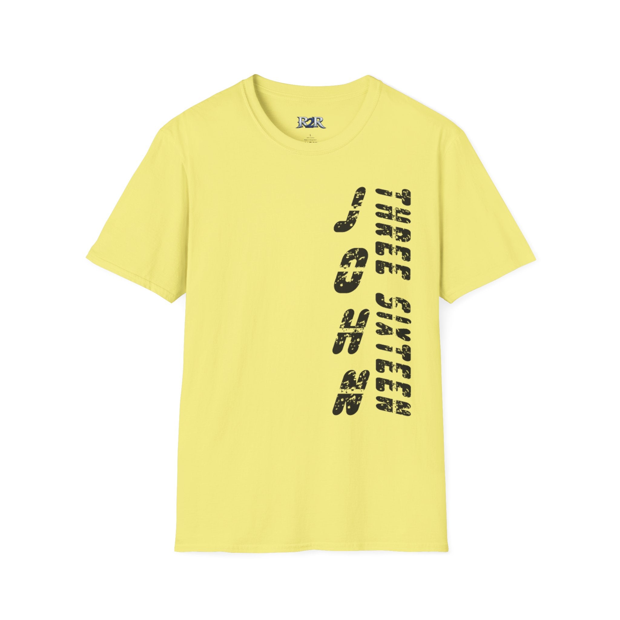 John 3:16 Unisex Softstyle T-Shirt