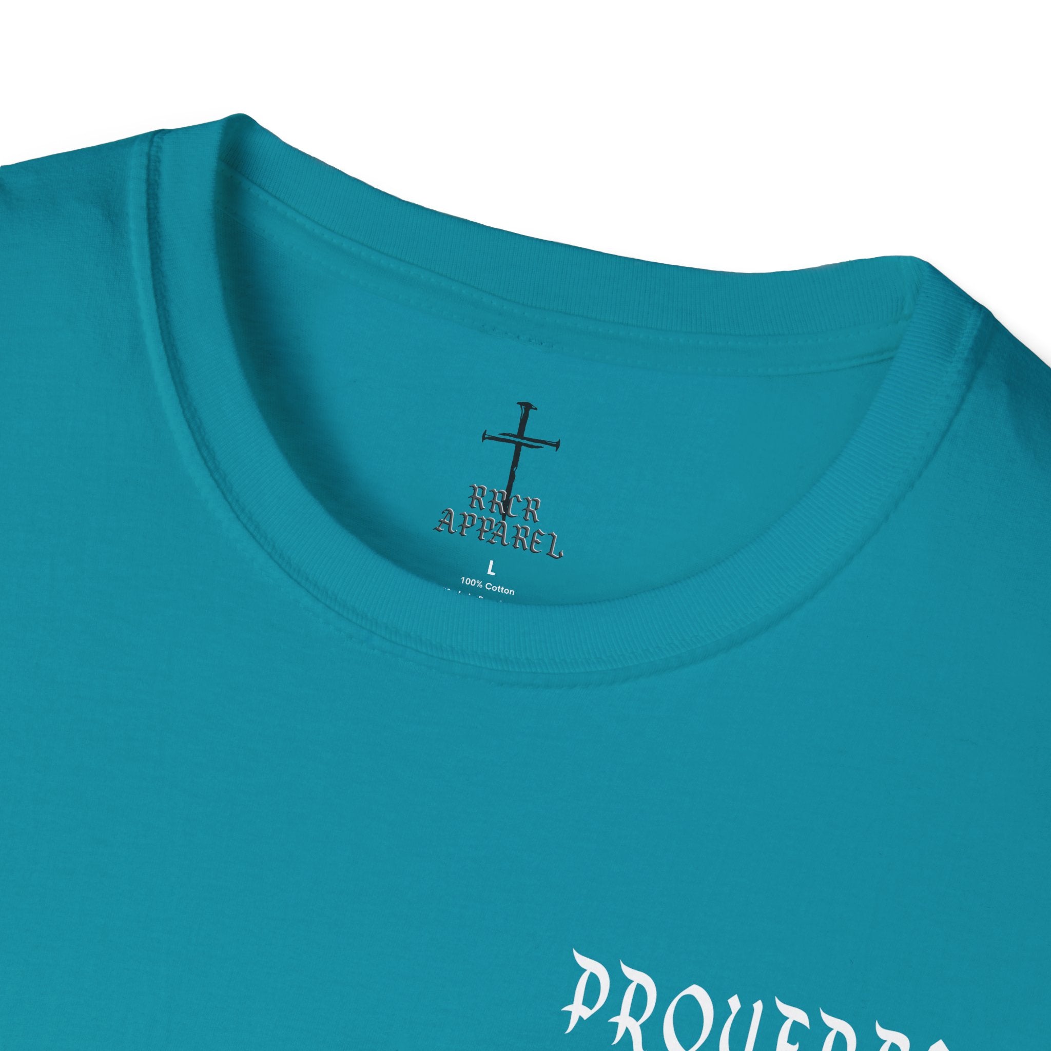 Proverbs 27:17 Softstyle T-Shirt
